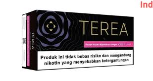 Terea Berrine Edition